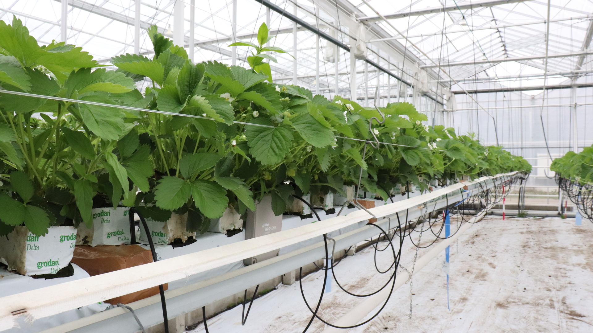 20201007 GR PHO 5308