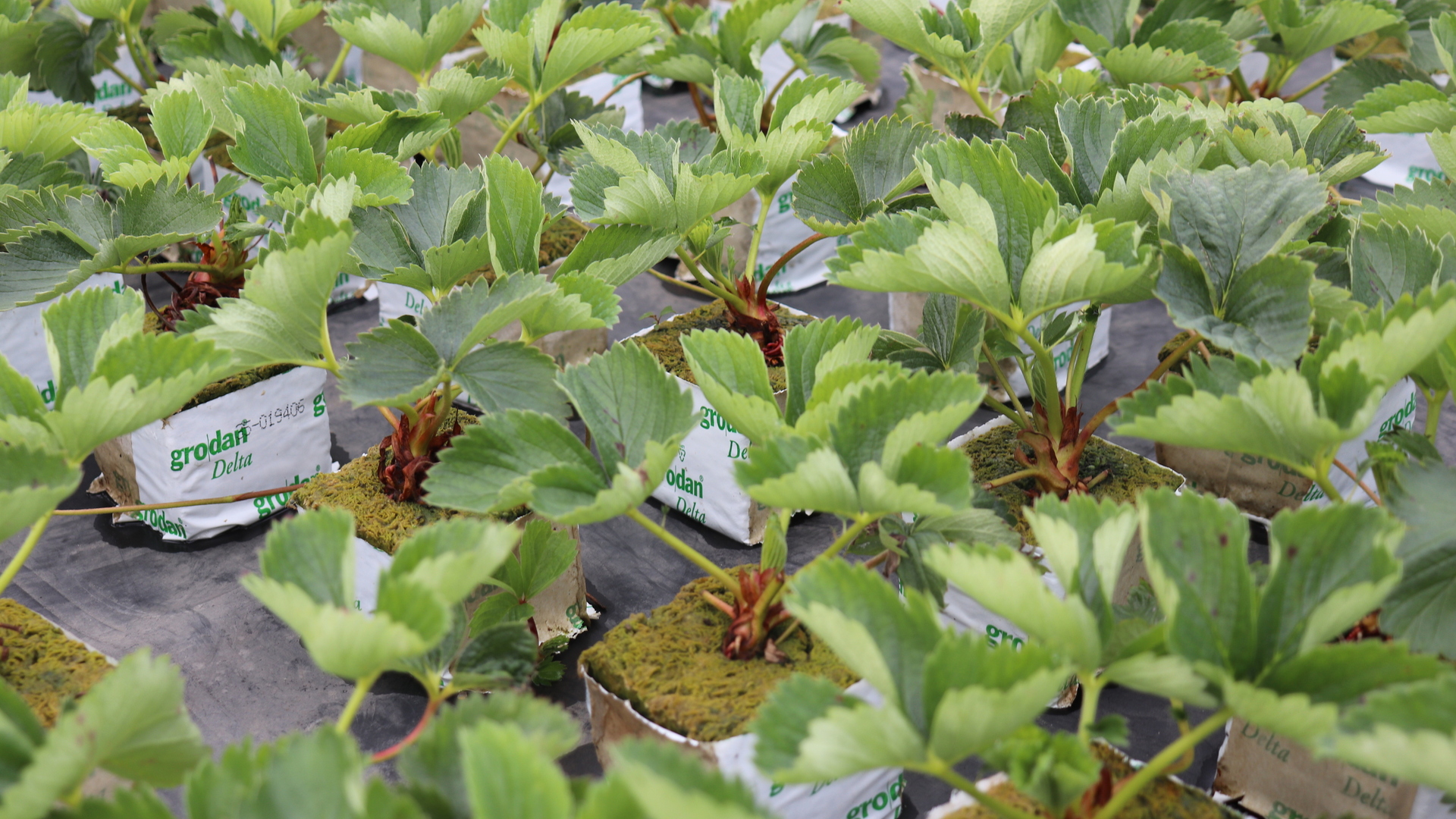 20201007 GR PHO 5310