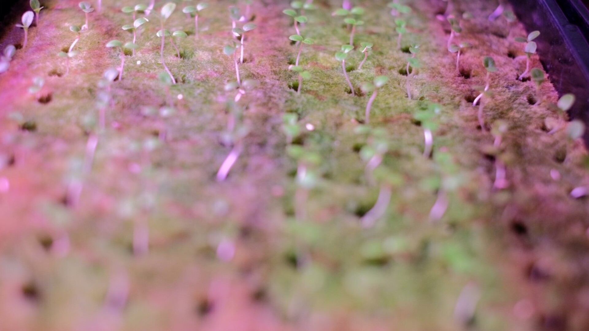 20201016 GR PHO 5312