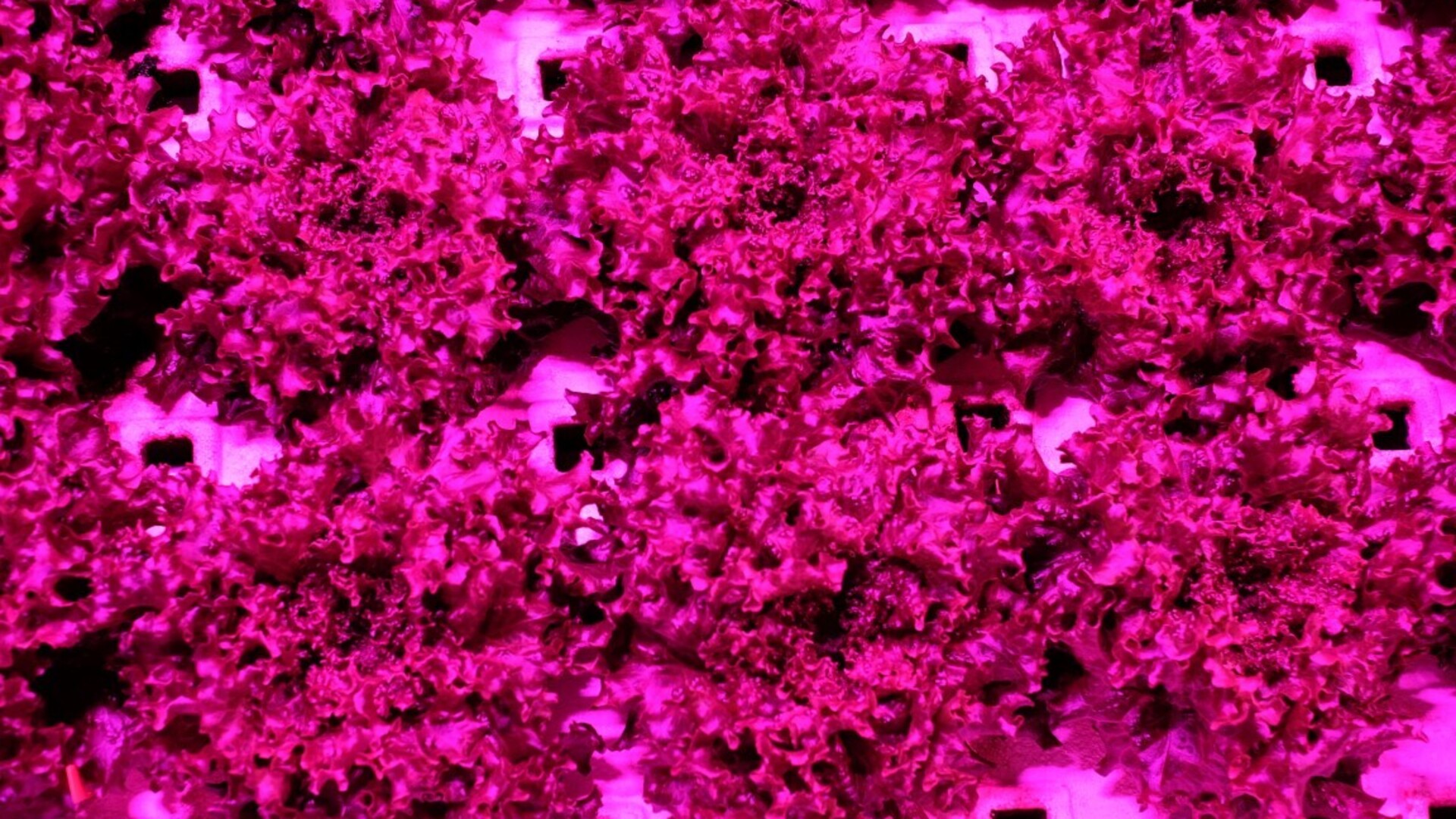 20201016 GR PHO 5313