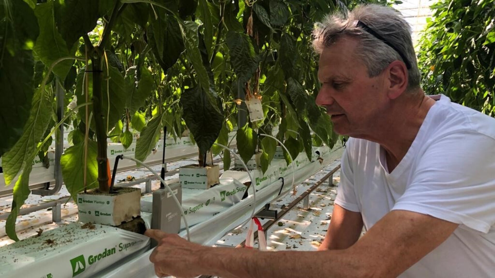 20210416 GR PHO 5429