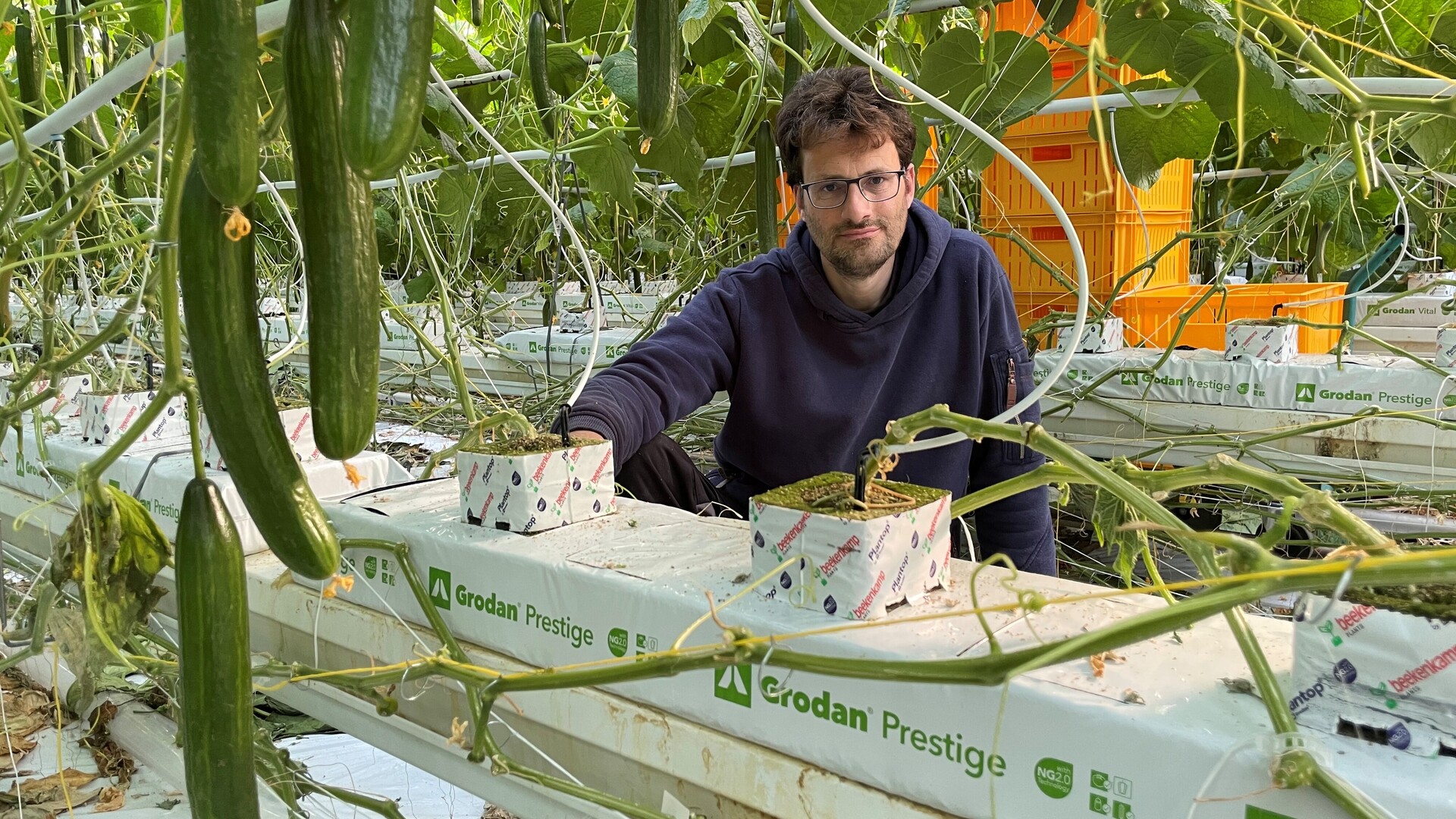 20210428 GR PHO 5435