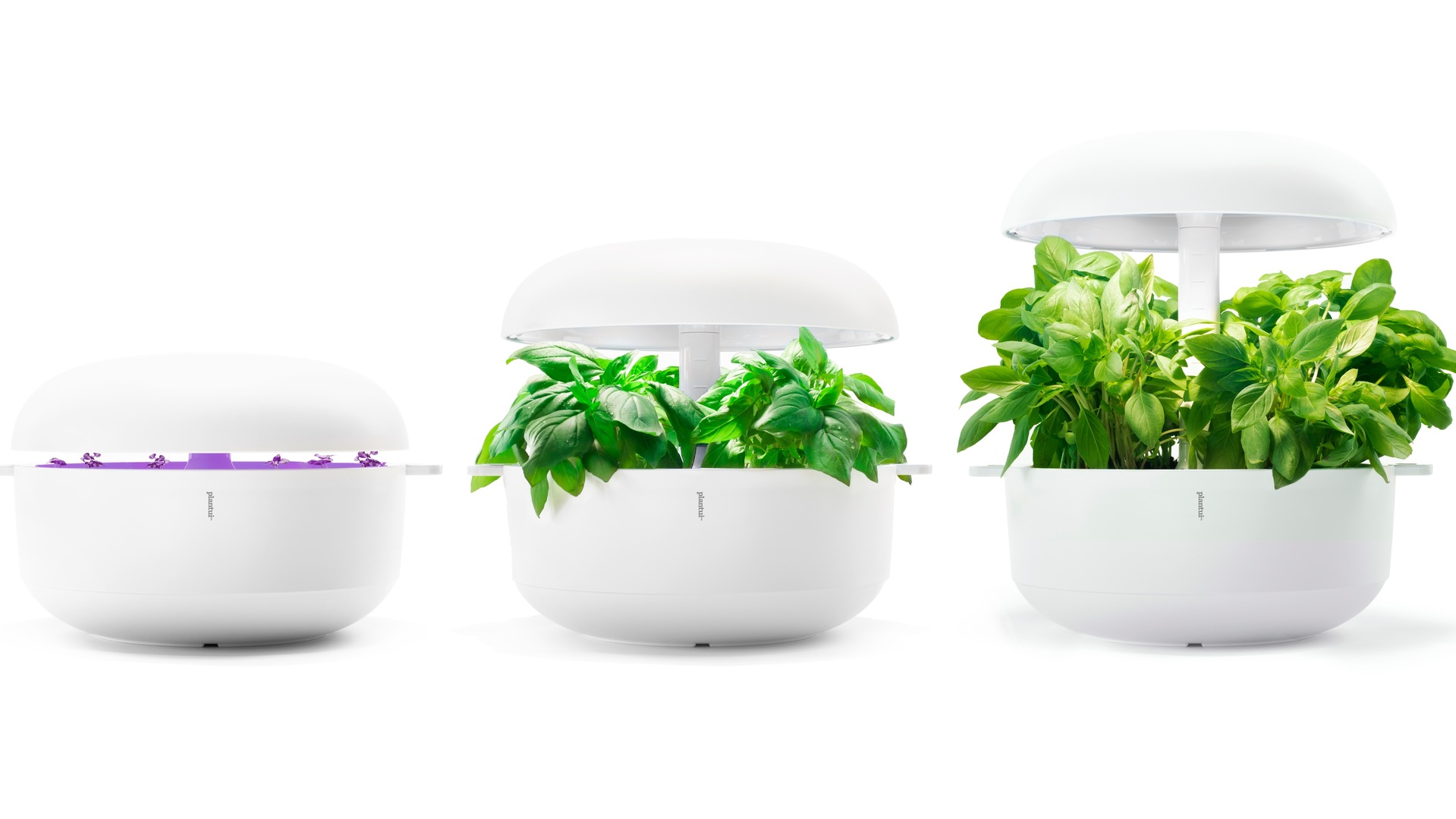 20210701 RW-GR PHO 5482