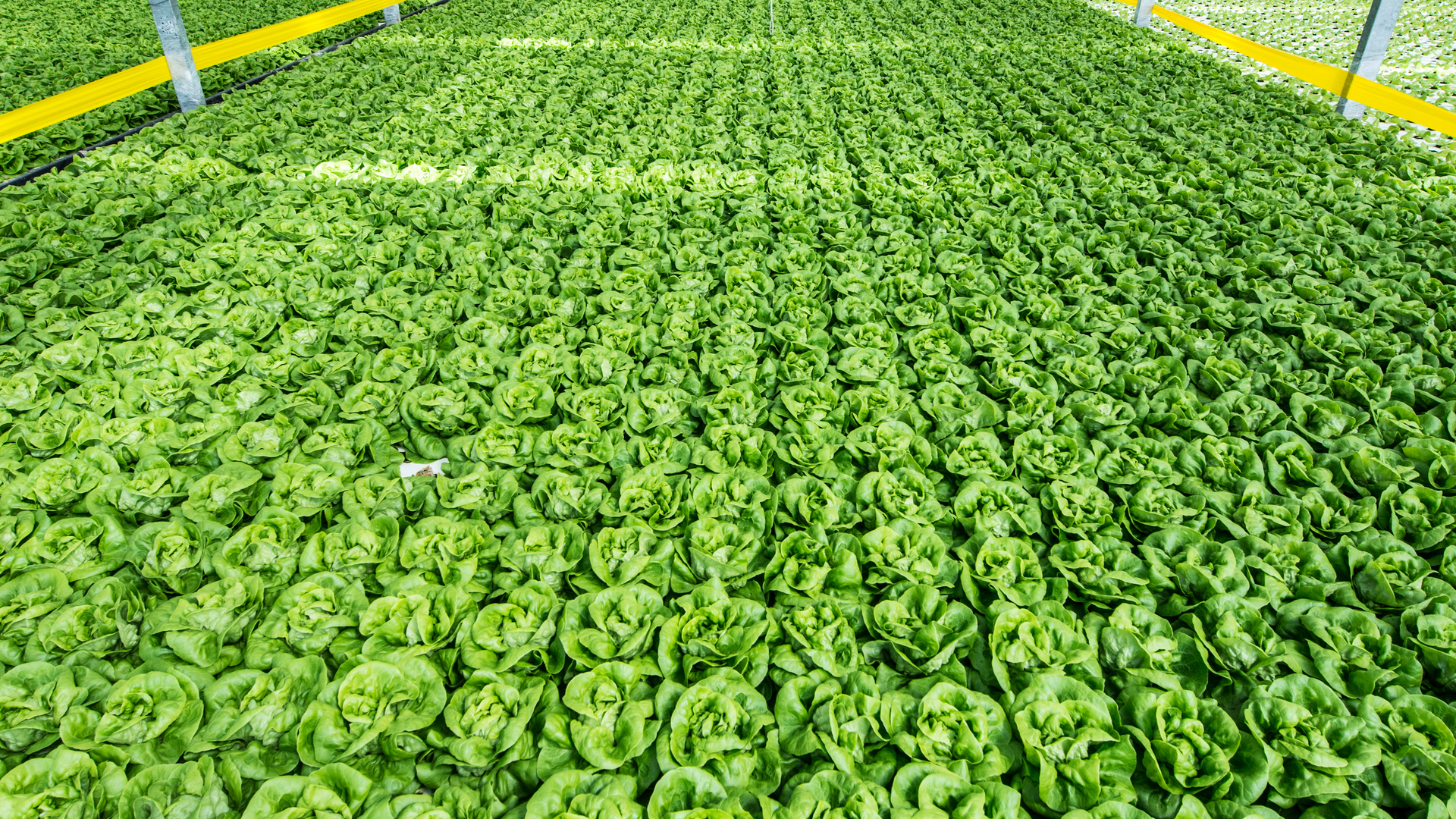 20220721 RW-GR PHO 5749