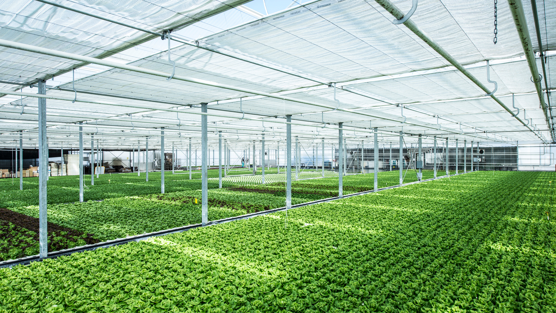 20220721 RW-GR PHO 5759